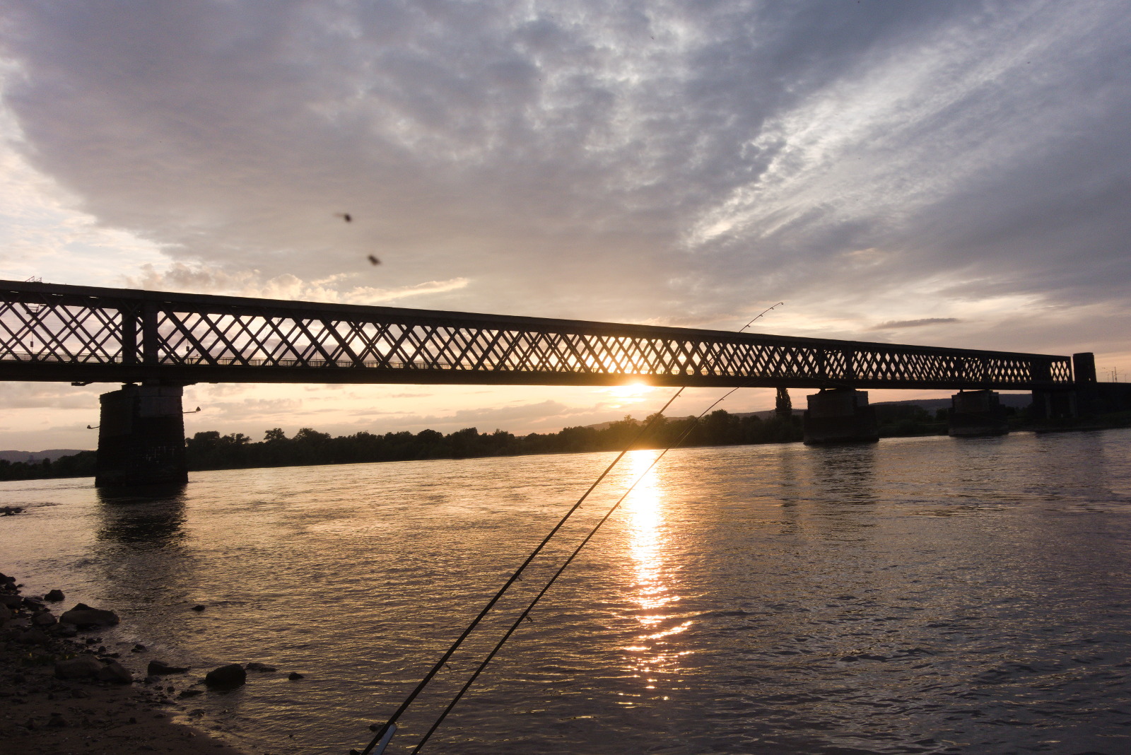 Workshop: Feedern am Rhein